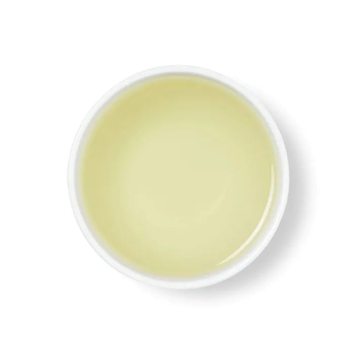 Newby Moroccan Mint brygg